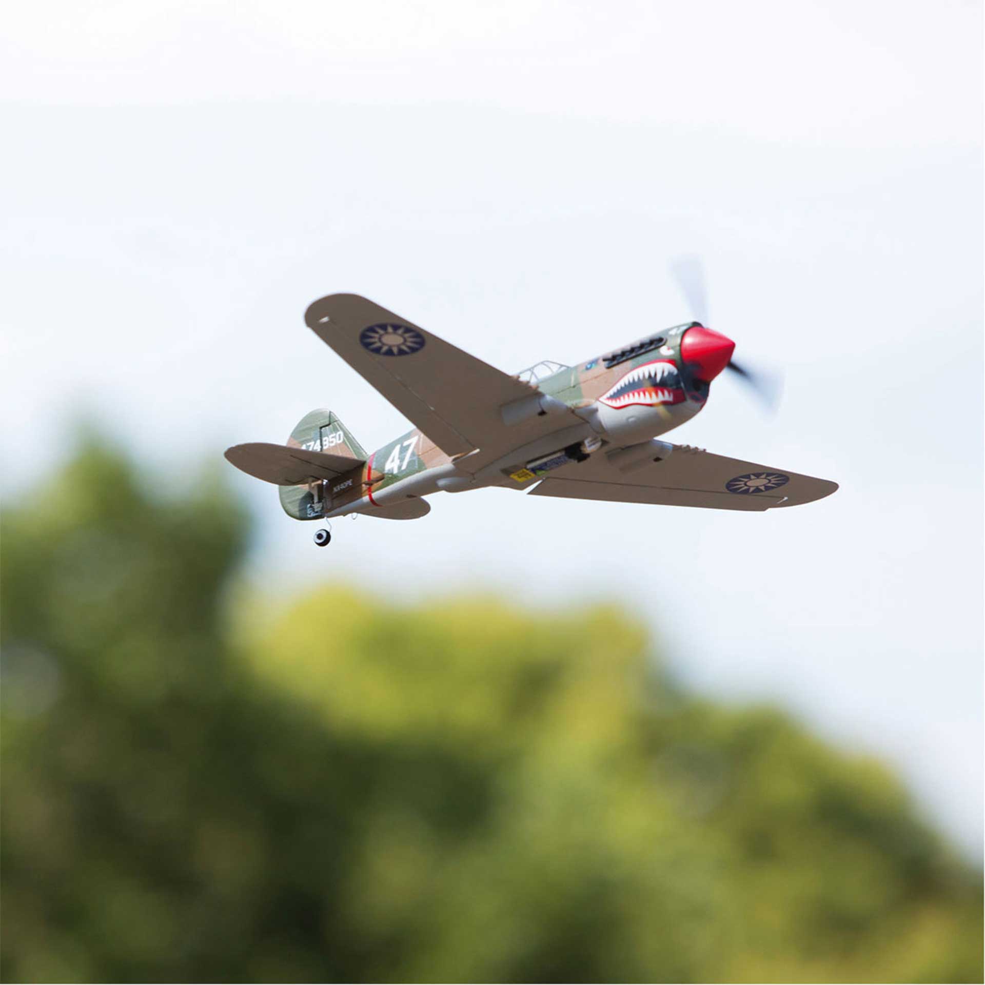 P-40 Warhawk parkzone