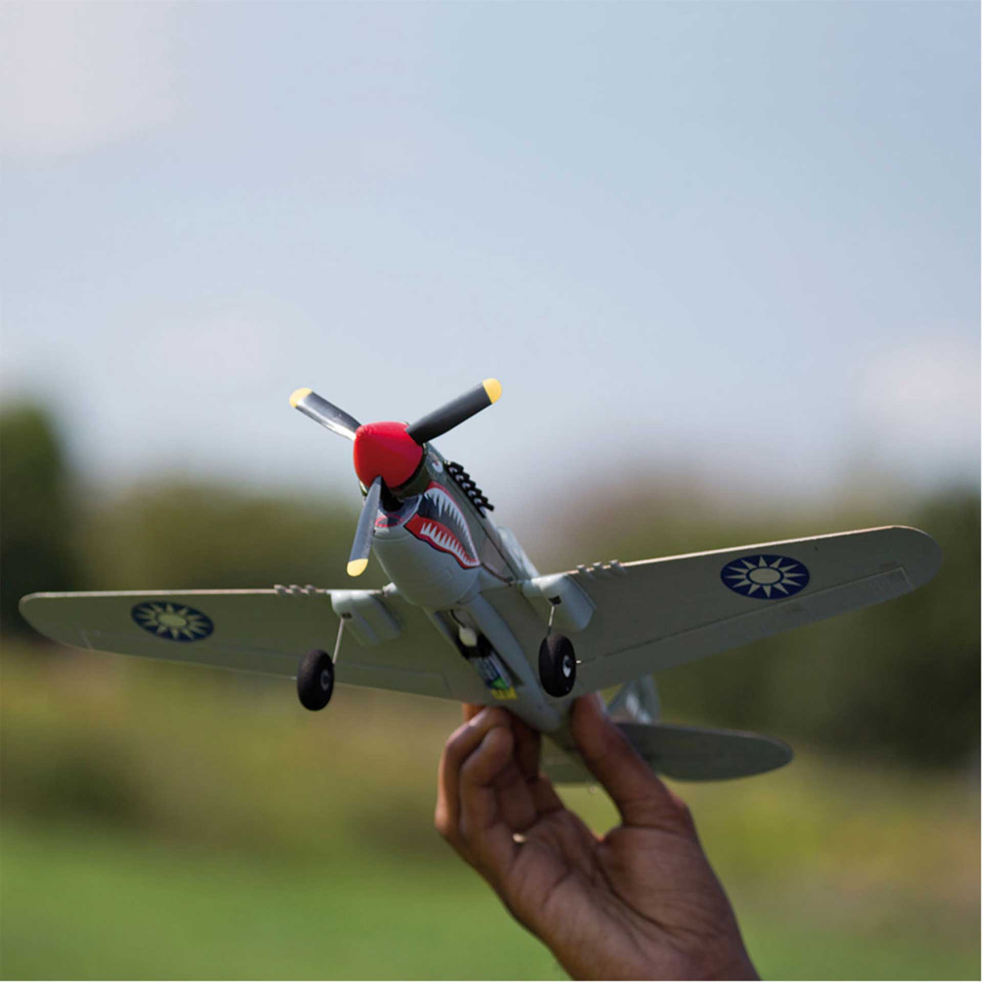 P-40 Warhawk parkzone