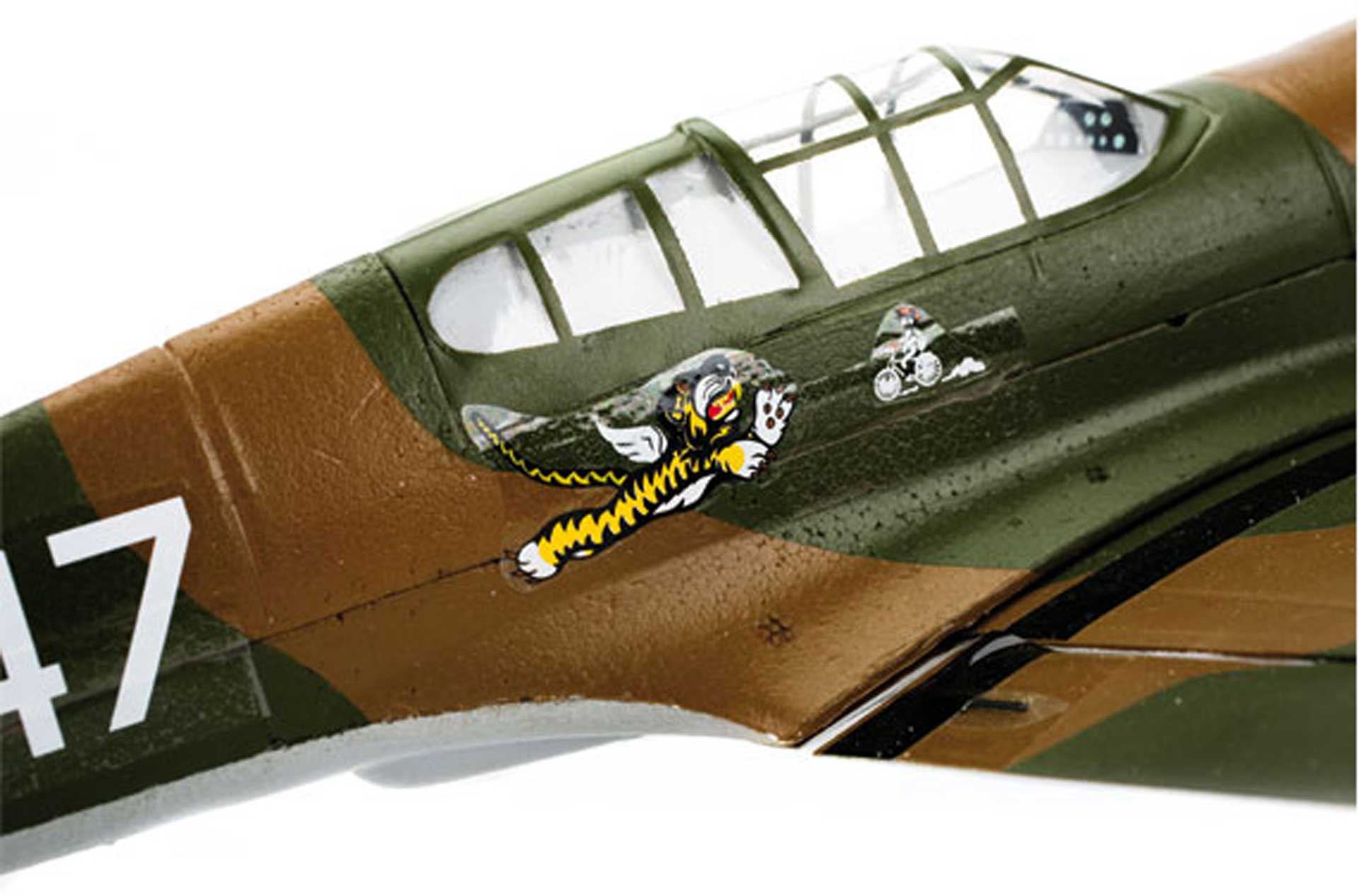 P-40 Warhawk parkzone