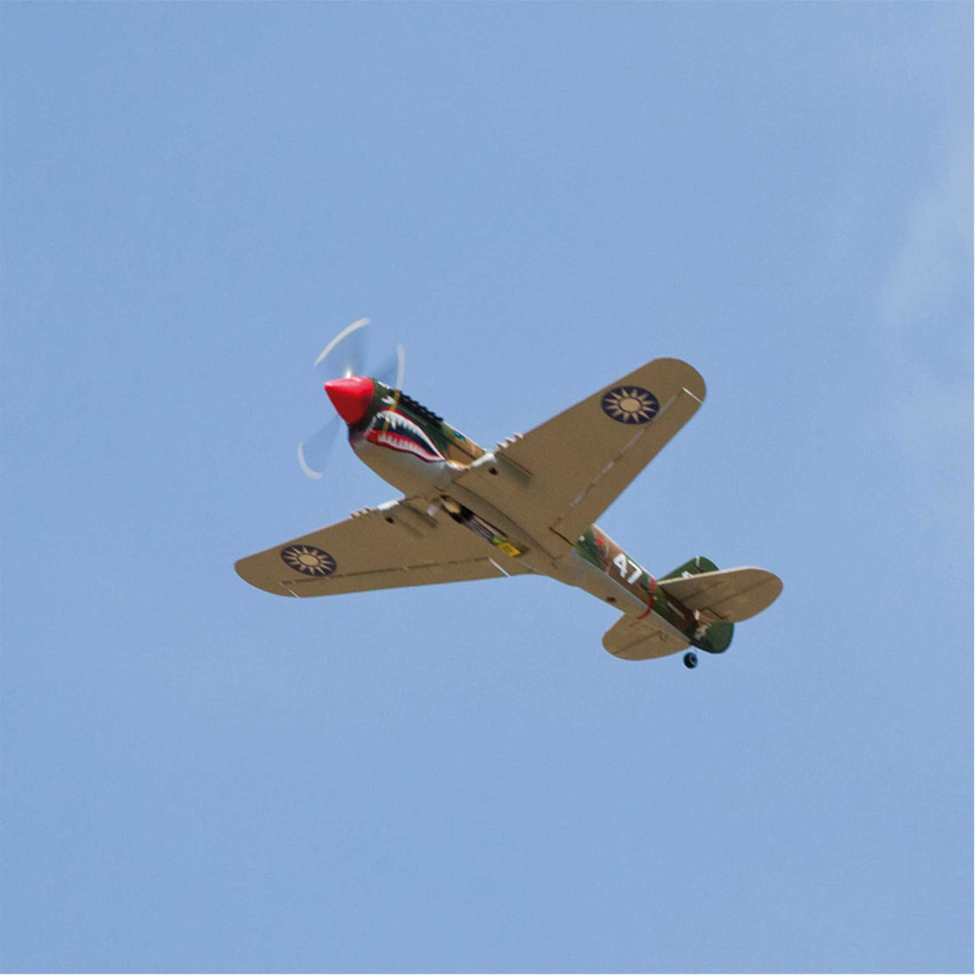 P-40 Warhawk parkzone