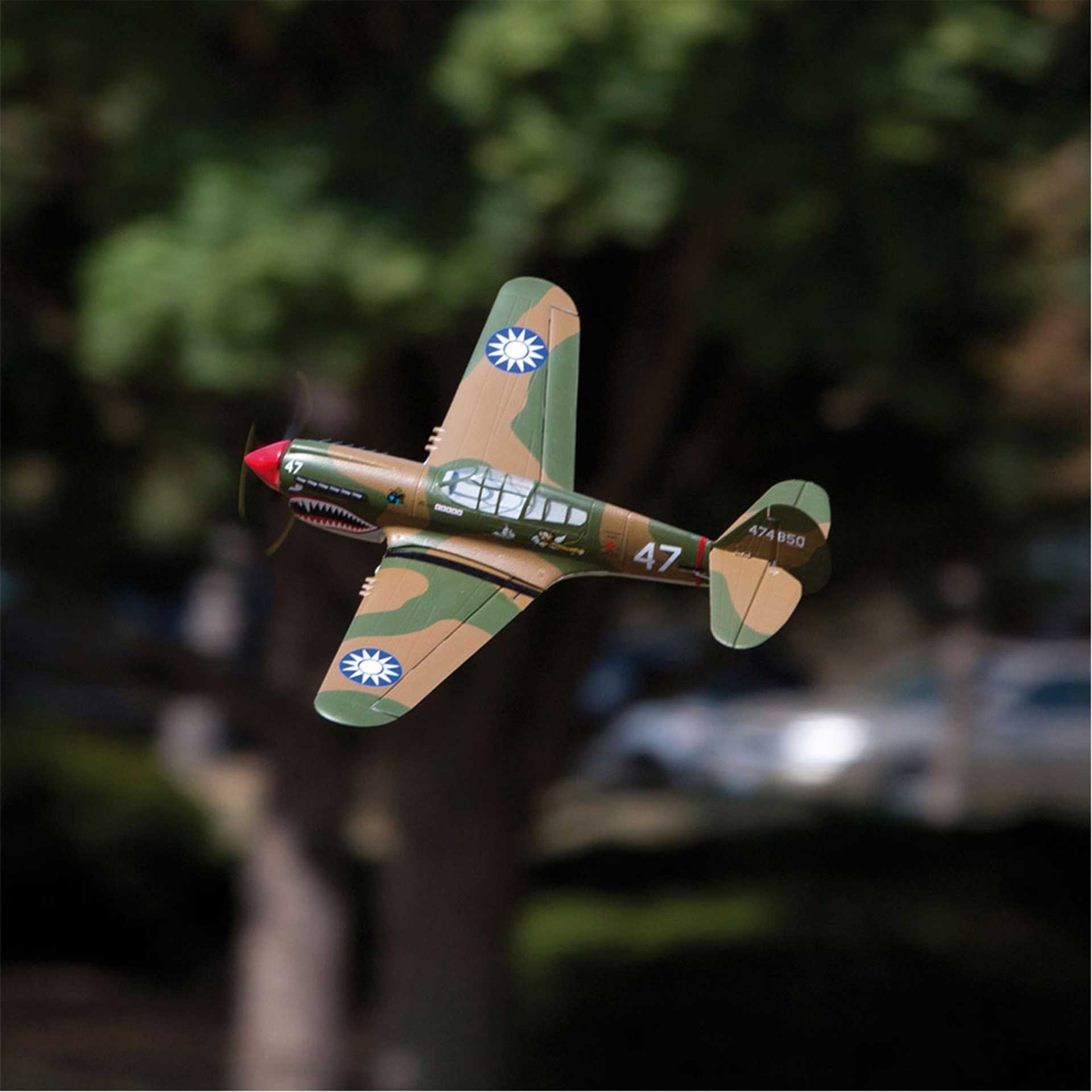 P-40 Warhawk parkzone