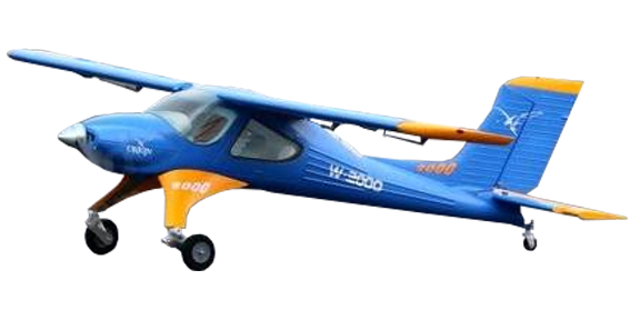 Wilga-2000