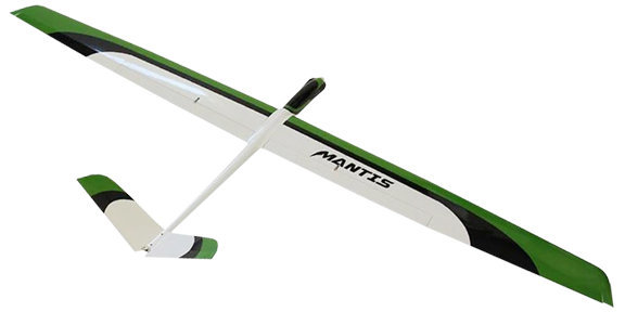 Mantis