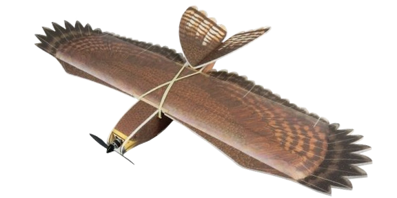 Hawk Electro