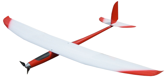 Ocelot E