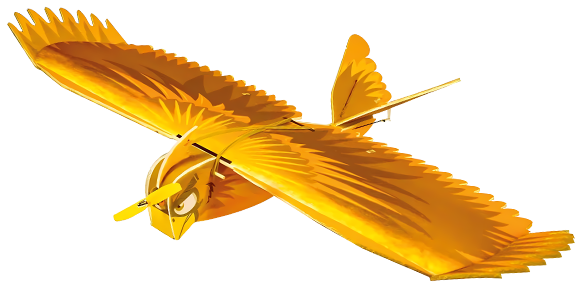 Funky Bird
