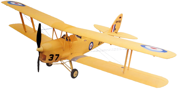 Tiger Moth