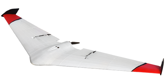 Duck Delta Wing