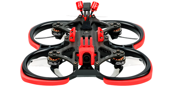 Pavo25