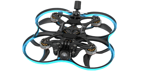Pavo35