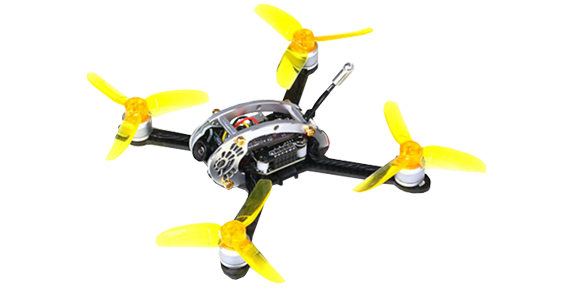 Fly Egg 130