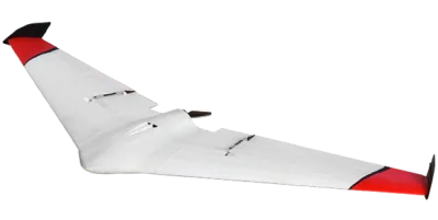 Duck Delta Wing