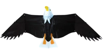 Vector Eagle