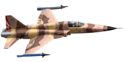 F-5 Tiger II Camo 80mm