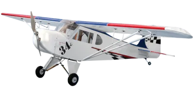 Clipped Wing Cub