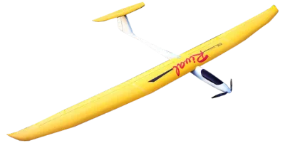 Rival