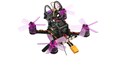 Lizard95