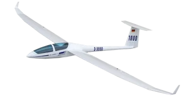 DG1000