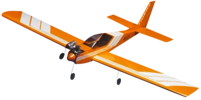 GoldBerg Tiger