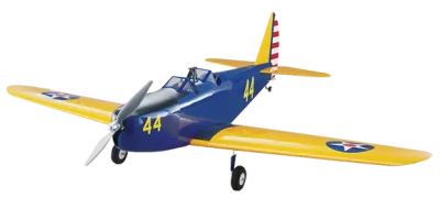 PT-19