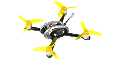 Fly Egg 130