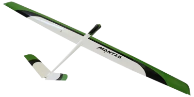 Mantis