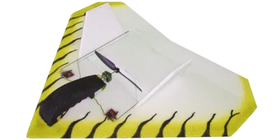 HyperFlea