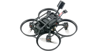 Pavo 20