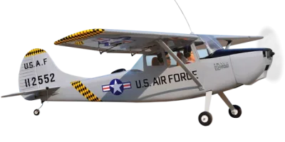 Bird Dog
