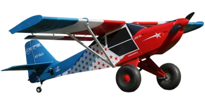 Freedom Fox
