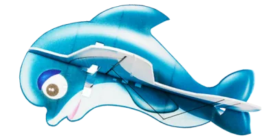 Dolphin